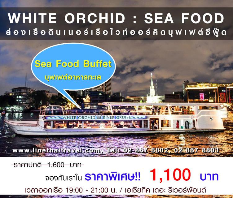 เรือไวท์ ออร์คิด 2 (White Orchid Cruise2) 1
