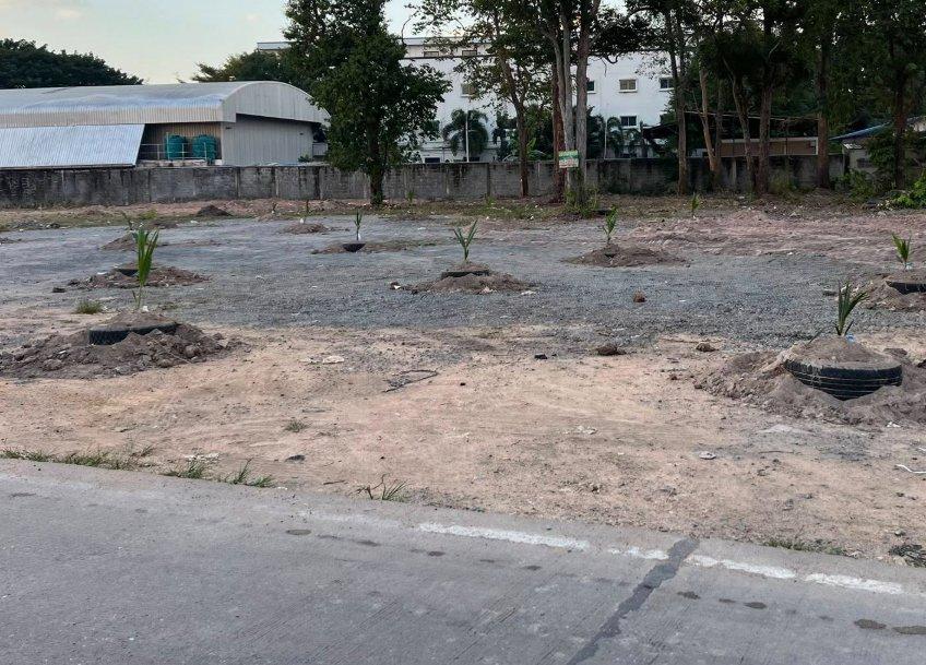 ขายที่ดินบึง หนองแขวะ 2 ไร่ ถมแล้วติดวิทยาลังเทคโนโลยีทางทะเล ใกล้ท่าเรือแหลมฉบัง-10กม. อ.ศรีราชา ชลบุรี 1