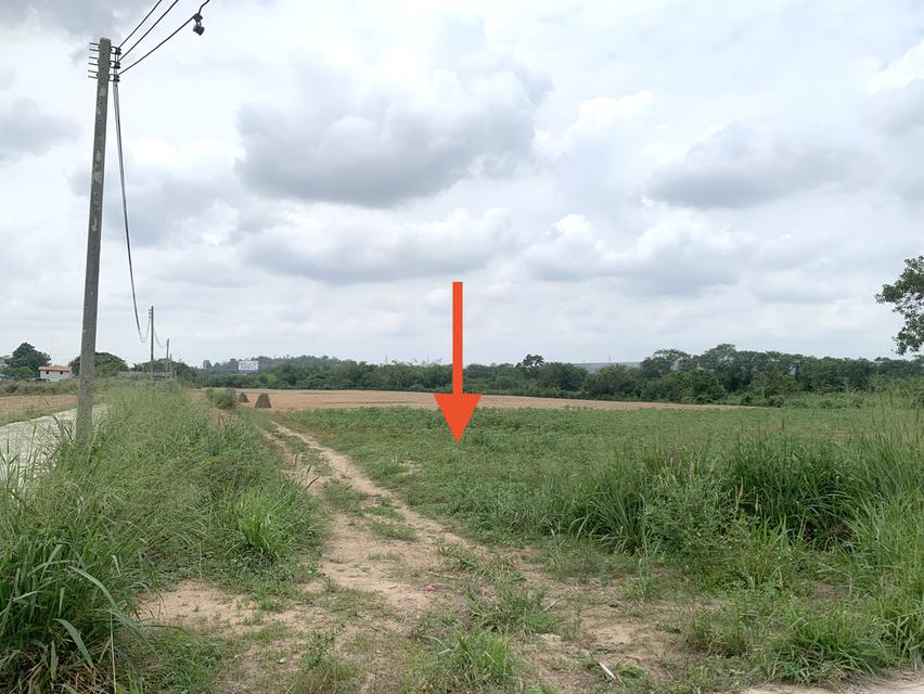 ขายที่ดินศรีราชาพื้นที่สีม่วง เนื้อที่ 35-3-71ไร่ + 8ไร่(พื้นที่สีม่วง) 3