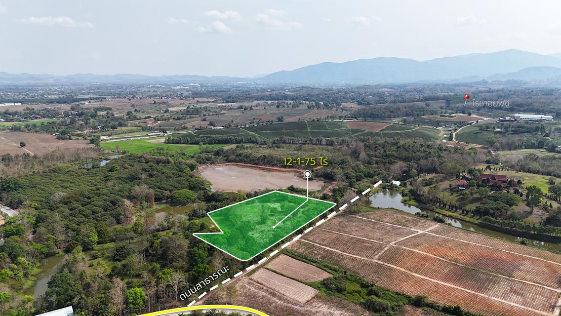 ประกาศขายที่ดิน ทำเลศักยภาพ ใกล้ไร่ชาฉุยฟง ตำบลศรีค้ำ อำเภอแม่จัน จังหวัดเชียงราย 57110 10