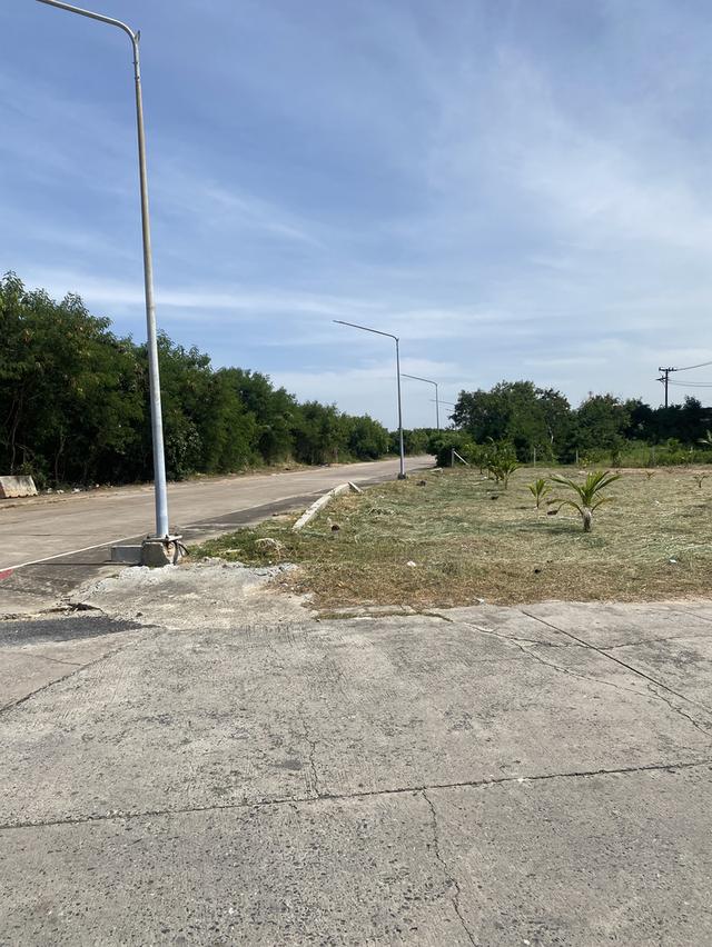 ขายที่ดิน ใกล้โรงพยาบาลศูนย์มะเร็ง ชลบุรี ติดถนน 2 ฝั่ง 6