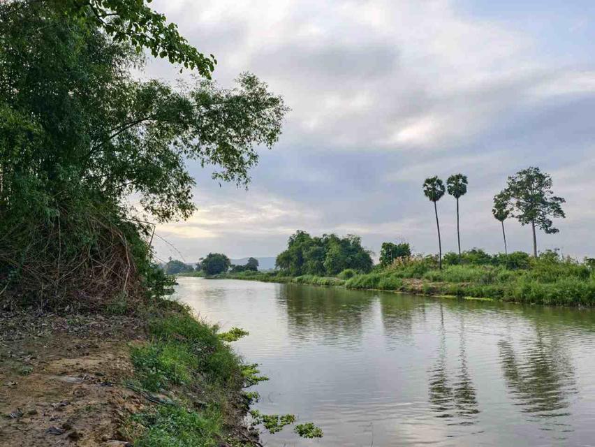 ที่ดินติดแม่น้ำ อ.เมือง จ.อุทัยธานี 1