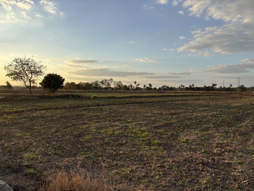 ที่ดินทำการเกษตร ไม่มีสิ่งปลูกสร้าง 1