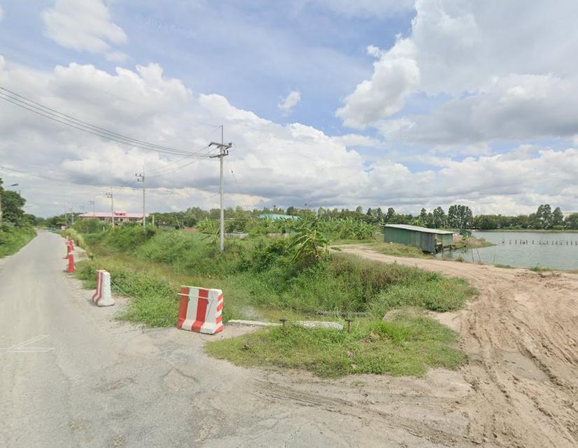 ขายที่ดินพานทองสีม่วงลาย 31 ไร่ หลังนิคมอมตะติดถนนลาดยางใกล้แยกพานทอง(ถ.บ้านเก่า3466)-1กม. จ.ชลบุรี 2