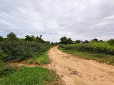 ขายที่ดินบ้านโพธิ์ฉะเชิงเทรา ที่ดินเนื้อที่รวมทั้งหมด 184-1-85 ไร่ (มีทั้งหมด 4 แปลง) 1