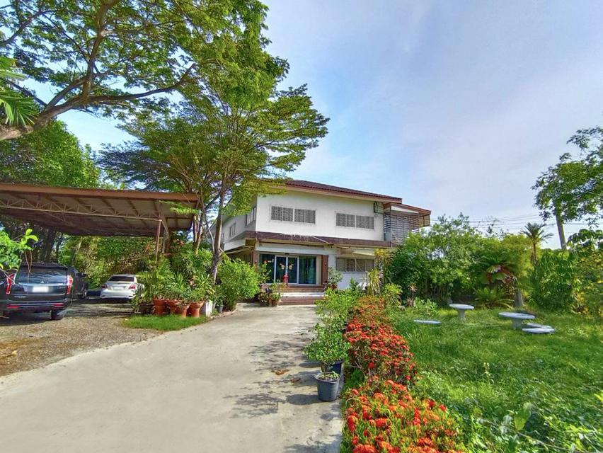 รูป ขาย บ้านเดี่ยว 2 ชั้น พร้อมบ้านพักคนงาน ( 1-3-11ไร่ ) ประชาอุทิศ76 ทุ่งครุ กรุงเทพ
