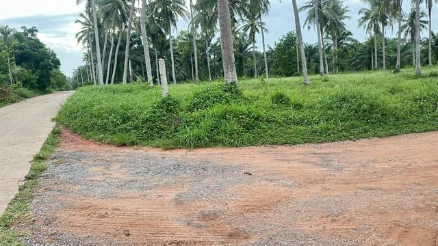 โปรปังทรัพย์ดีปลายปี68 ขายที่ดินใกล้หาดบางเบิด ติดถนนทางหลวง ใกล้หาด1 กม. +ขนาดที่ดิน 50-1-18 ไร่ โฉนดครุฑแดง พร้อมโอน ไ 1