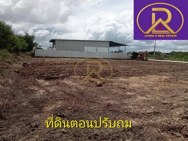 ขายด่วนที่ดินแปลงสวย ถมแล้ว 270 ตารางวา ใกล้สำนักงานเทศบาลตำบล บางปะกงพหรมเทพรังสรรค์ ต.บางปะกง อ.บางปะกง จ.ฉะเชิงเทรา 5