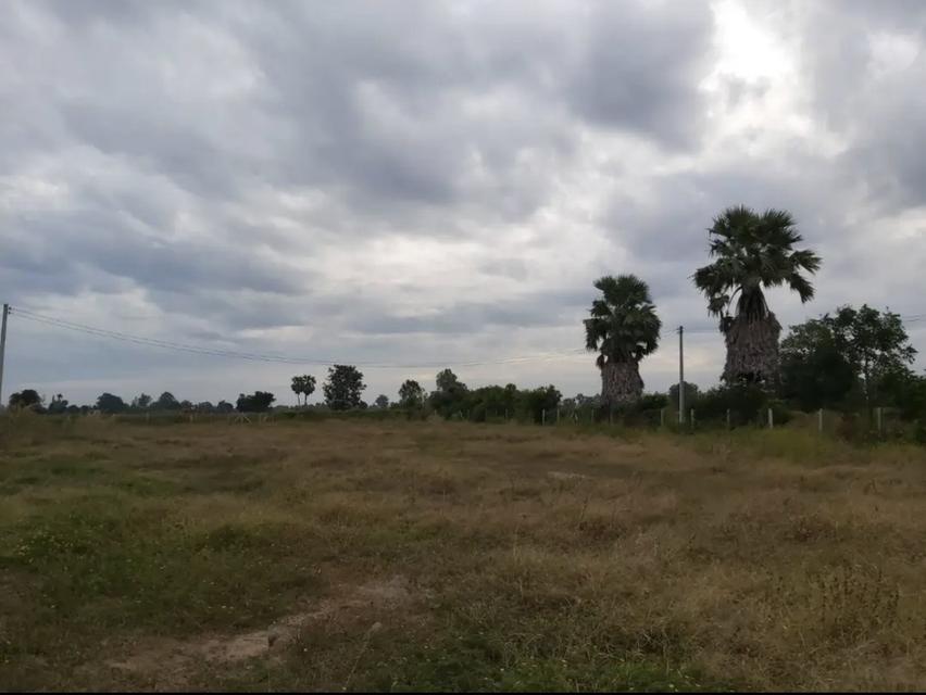 ที่ดินสุพรรณบุรี 4 ไร่ 1,100,000 ดอนเจดีย์ แปลงเดียวเท่านั้น 3