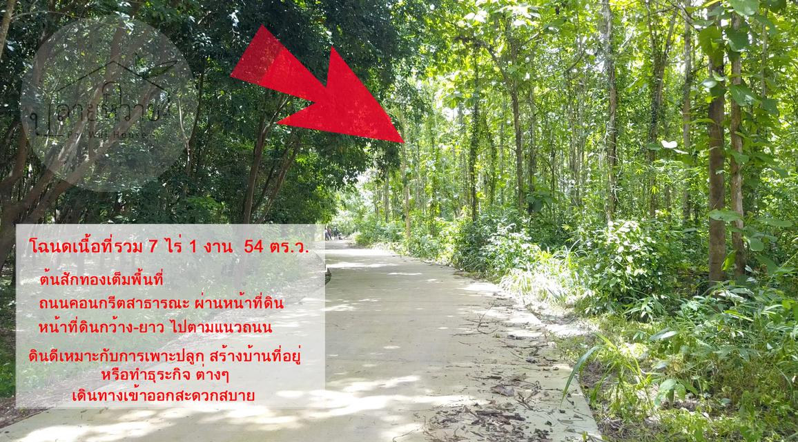 ขายที่ดิน จ.น่าน เนื้อที่ 7 ไร่ 1 งาน 54 ตร.ว. 11