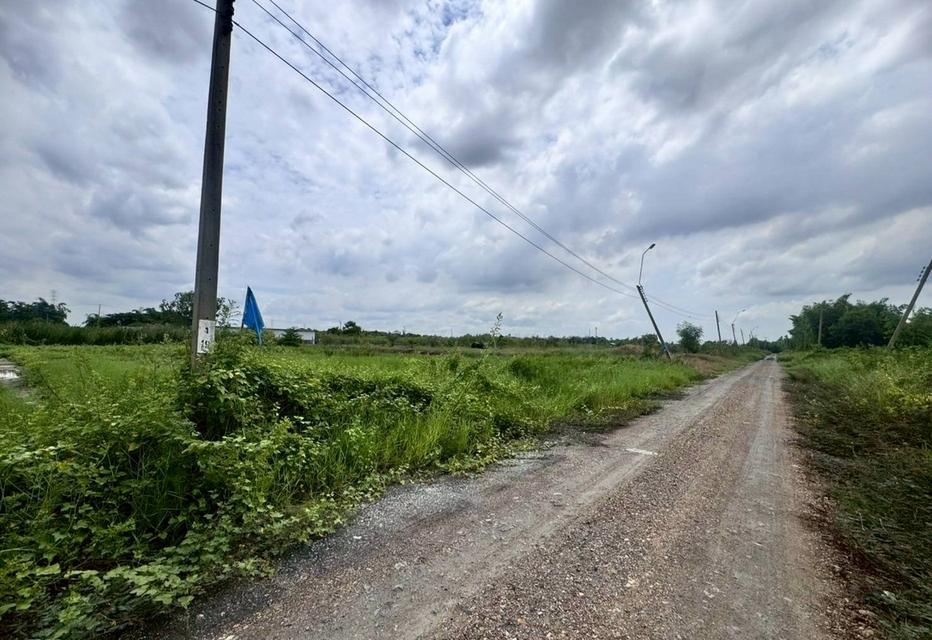 ขายที่ดินสวย ฉลองกรุงการ์เด้น ซอยวัดอู่ตะเภา ตรงข้าม FBT ฉลองกรุง (N.1754) 4