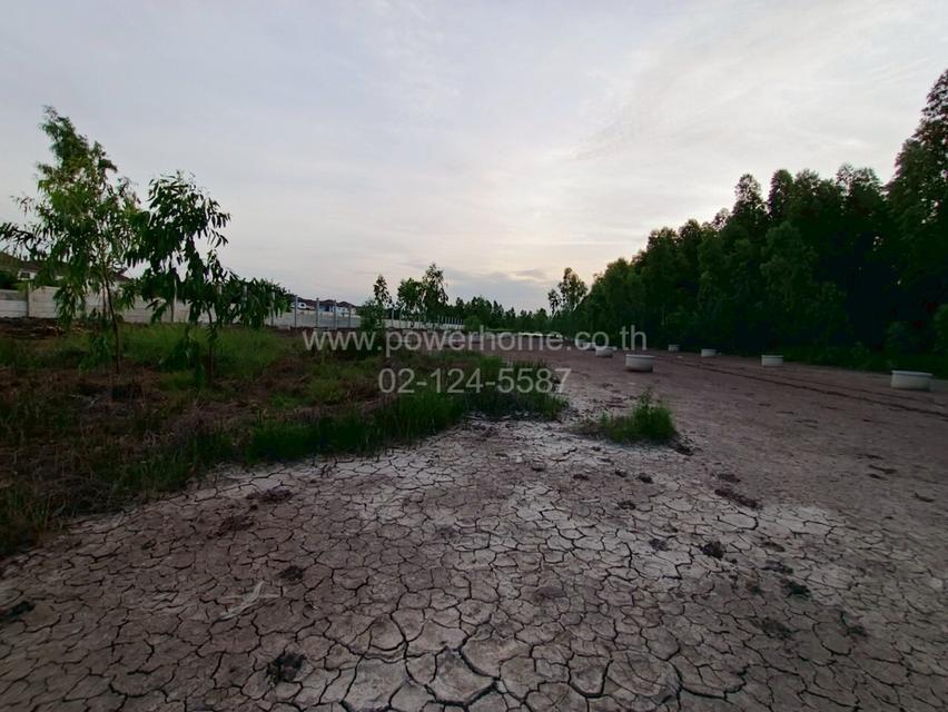 ที่ดินเปล่า ใกล้โรงเรียนเทศบาล 1 (ขจรเนติยุทธ) ถนนลำลูกกา ต.คูคต อ.ลำลูกกา จ.ปทุมธานี 13