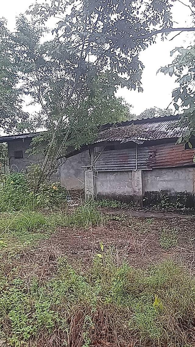 ที่ดินทองผาภูมิ 18