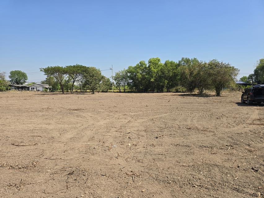 ที่ดินเปล่าถมแล้ว 7 ไร่ ใกล้กรุงเทพ ที่ดินสวย บรรยากาศดี มีทุ่งนา โฉนดครุฑแดง อ.เมือง ต.วังตะเคียน จ.ฉะเชิงเทรา 5