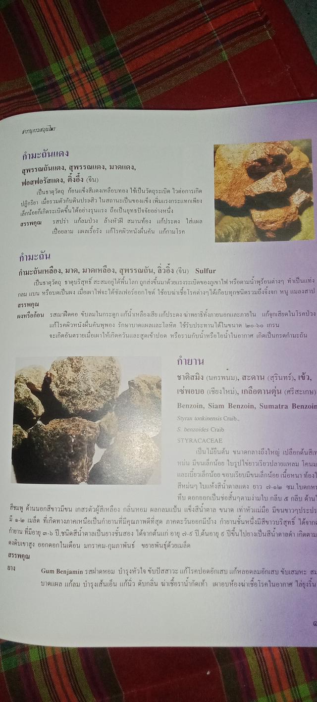 หนังสือสารานุกรมสมุนไพรไทย รูปที่ 7