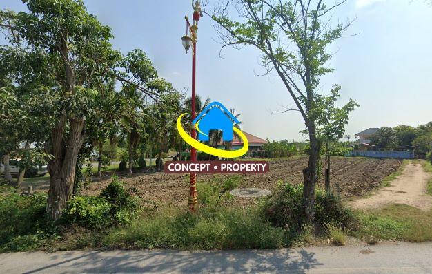 ขายที่ดิน 1ไร่  ติดทางหลวงชนบท ดอนตูม นครปฐม 2