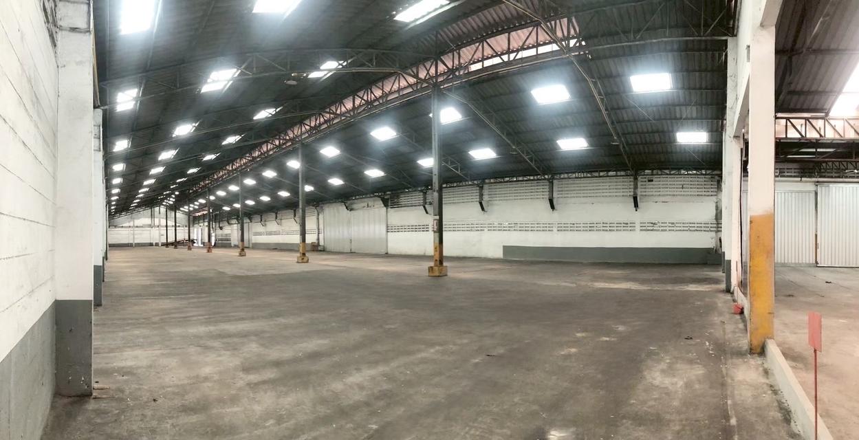 ปล่อยเช่าโกดัง ซอยใจเอื้อ ใกล้แยกบางคูวัด ปทุมธานีราคาถูก ขนาดเล็กและใหญ่ มีรปภ 24 ชั่วโมง 3