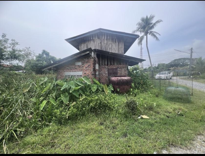 บ้านเดี่ยวพร้อมที่ดิน 5