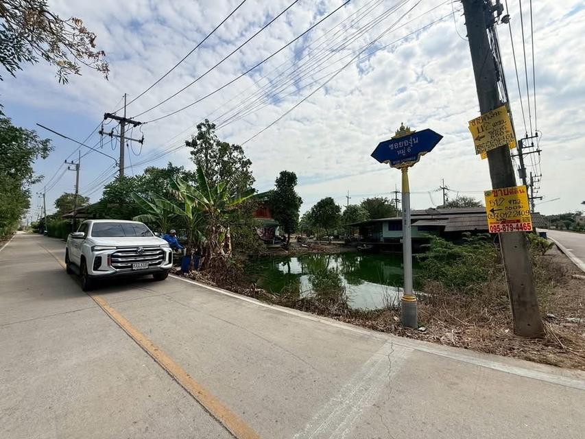 Vายด่วนที่ดิน 512 ตารางวา ใกล้อนามัยบางหลวง ชอยองุ่น บางหลวง เมืองปทุมธานี 7