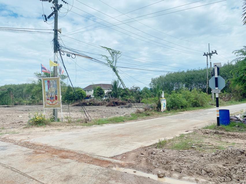 ขายที่ดินทำเล EEC บ้านค่าย ระยอง 7