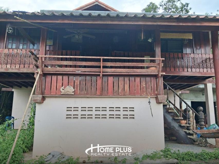 ขายที่ดินพร้อมบ้าน 2 ชั้น วิวภูเขา ใกล้อ่างเก็บน้ำบ้านป่าจั่น ตำบลเวียงกาหลง อำเภอเวียงป่าเป้า จังหวัดเชียงราย 6