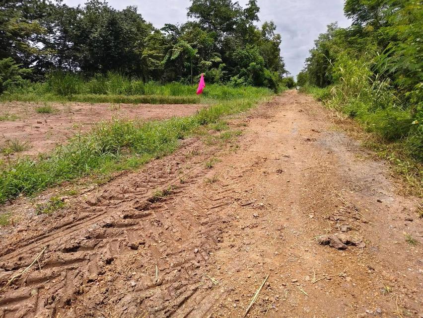 โอกาสมีที่ดินเป็นของตัวเอง คลอง 12 หนองเสือ เริ่มเพียง 360,000 บาท 6