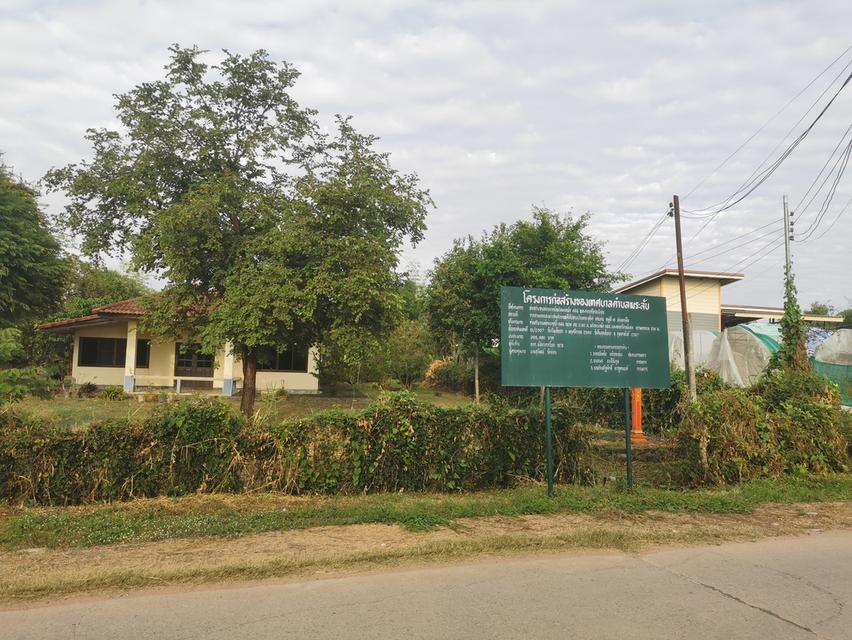 ที่ดิน​ 6​ ไร่​ 1​ งาน​ 31​ ตารางวา​ 5