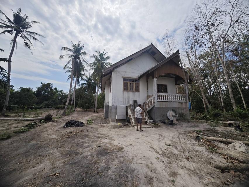 ขายที่ดิน พร้อมบ้าน 2 ไร่ 3 งาน 28 ตารางวา ต.ชากบก อ.บ้านค่าย จ.ระยอง (เจ้าของขายเอง) 2