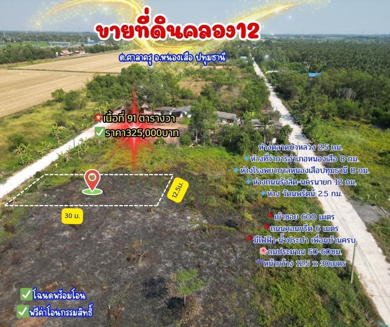 ที่ดินคลอง12หนองเสือ 1