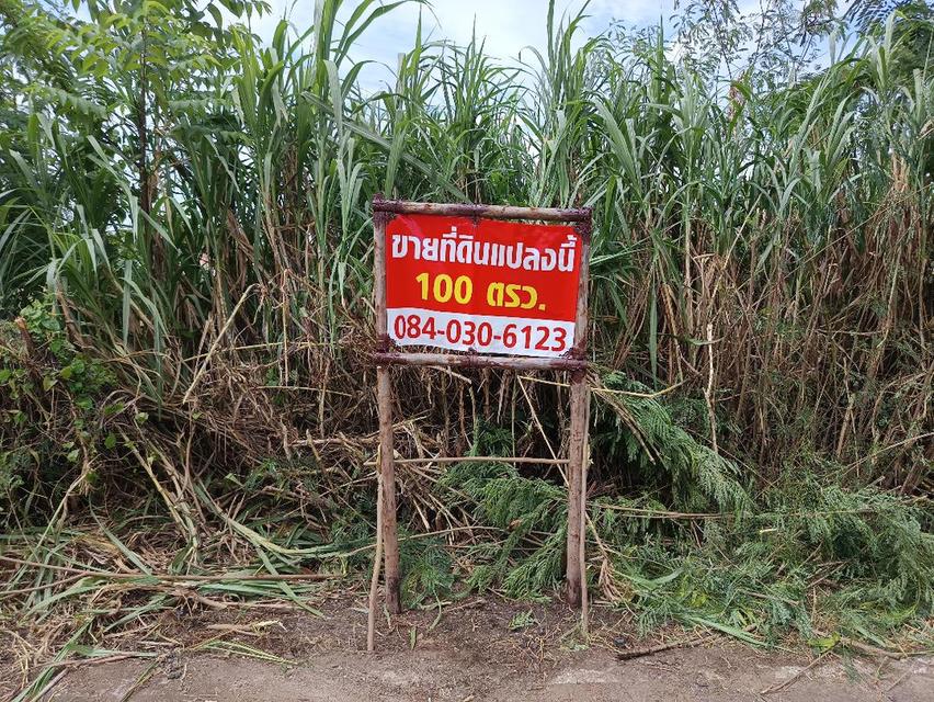 ขายที่ดินเปล่า 100 ตารางวา ในซอยคลองสาม 1/5  ถนนเลียบคลองสาม ใกล้ถนนรังสิต-นครนายก คลองหลวง รังสิต ปทุมธานี 2