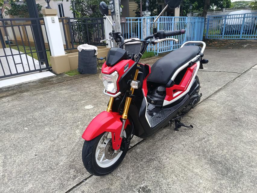Zoomer -x  12