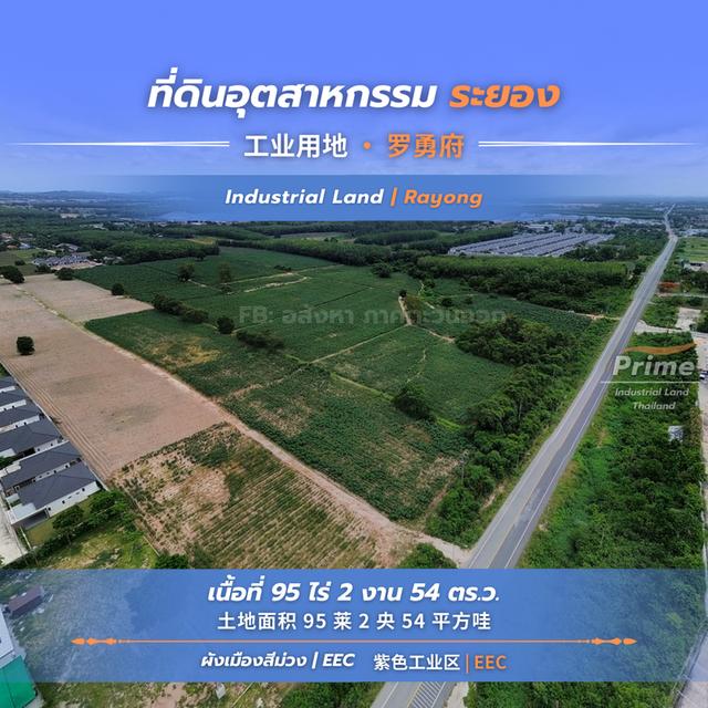 ที่ดินเขตพื้นที่ EEC ระยอง พื้นที่ 95 ไร่ 1
