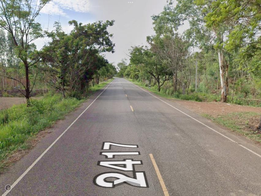 ขายที่ดิน314ไร่ ติดถนนหลัก อ.นาทม จ.นครพนม 1
