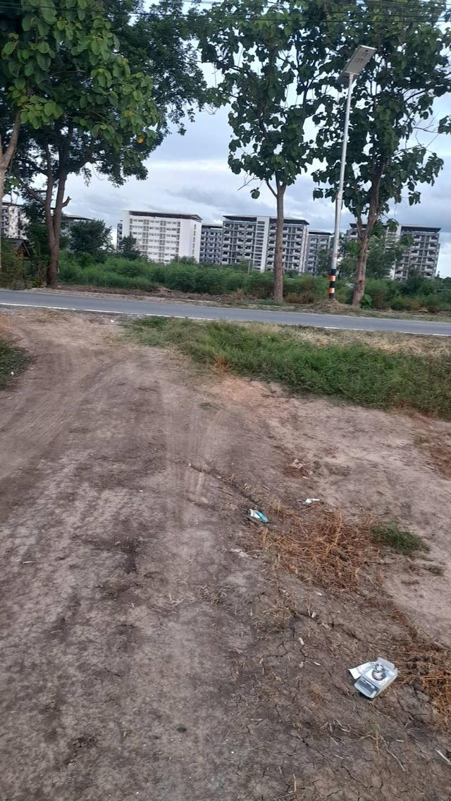 Sale Nice Land 5 Rais Nakhon Pathom suitable for residence and Projects 5