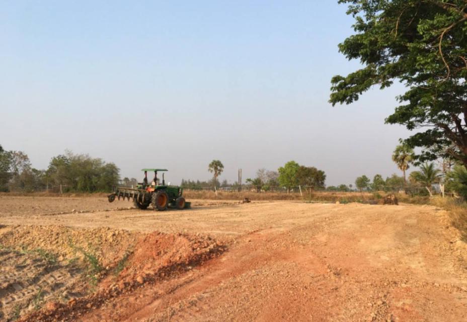 ขายถูกมากห้ามพลาดที่ดินทำเลทอง ติดถนน 4 เลน 207 อำเภอประทายโคราช หน้ากว้าง 80 เมตร ขายถูก 1.39 ล้าน ต่อไร่ 9