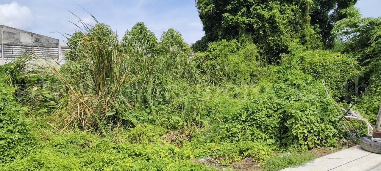 ให้เช่า ที่ดินเปล่า 60 ตร.วา ซอย บางปลา 14 บางพลี สมุทรปราการ 11