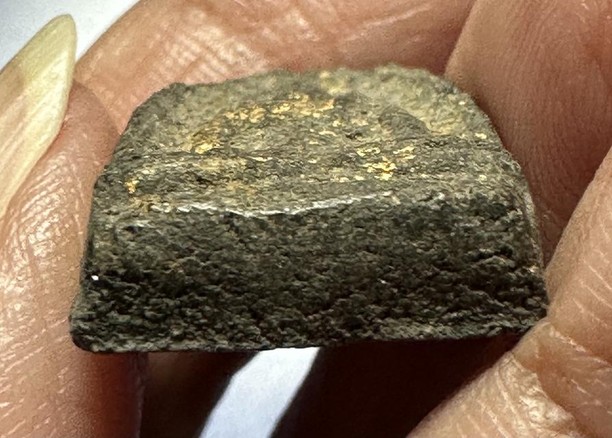 พระซุ้มกอเนื้อผงคลุกรัก ลป.เพิ่ม วัดกลางบางแก้ว