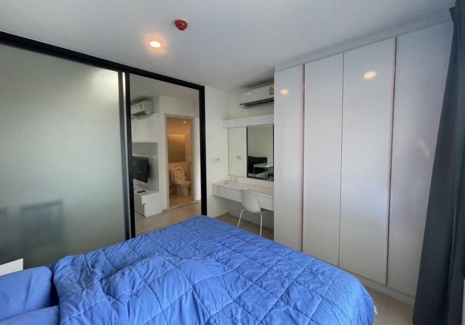 ปล่อยเช่า 5