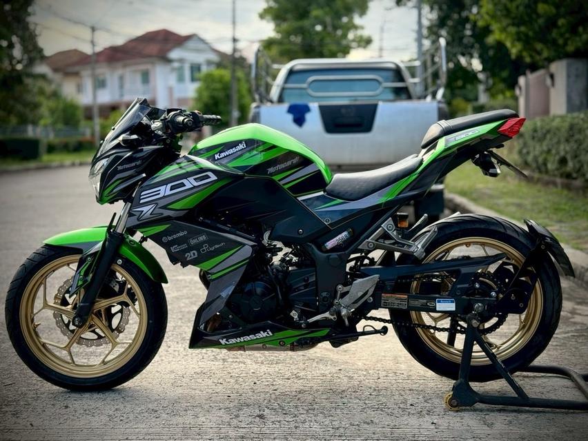 Z300