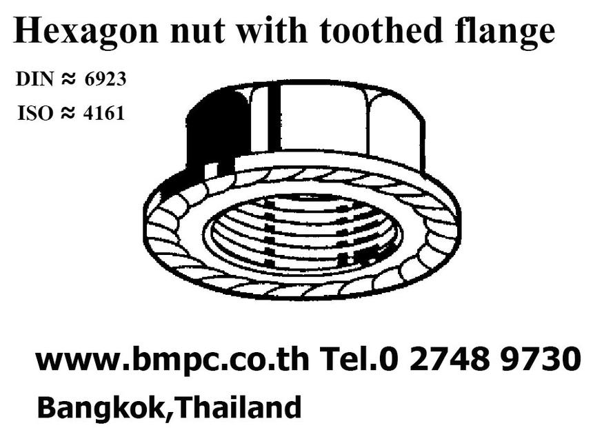 Self lock nut, Prevailing torque nut, Plastic insert nut, Jam lock nut nylon insert, Ribb lock nut รูปที่ 2