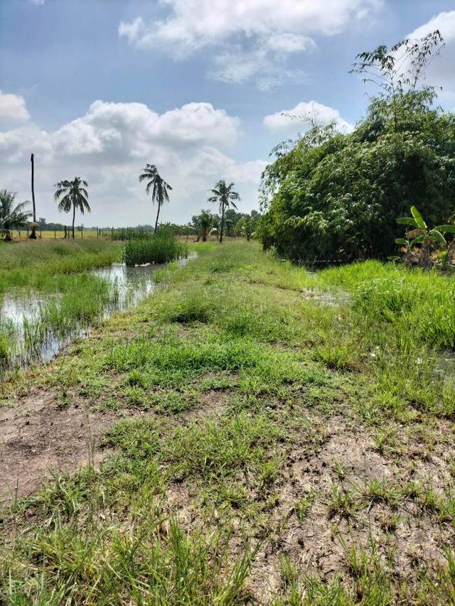 ขายที่ดินติดถนนลำลูกกา คลอง13 4