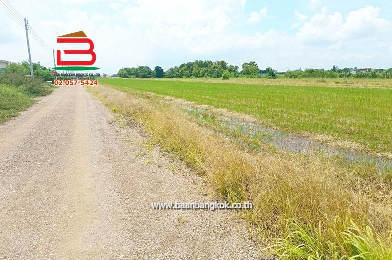ที่ดินเปล่า เนื้อที่ 20-3-61 ไร่ ใกล้องค์การบริหารส่วนตำบลคลองหก ถนนคลอง6 ฝั่งตะวันตก ต.คลองหก อ.คลองหลวง จ.ปทุมธานี 7