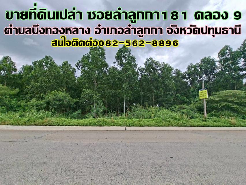 ขายที่ดินเปล่า ซอยลำลูกกา181 คลอง9 1