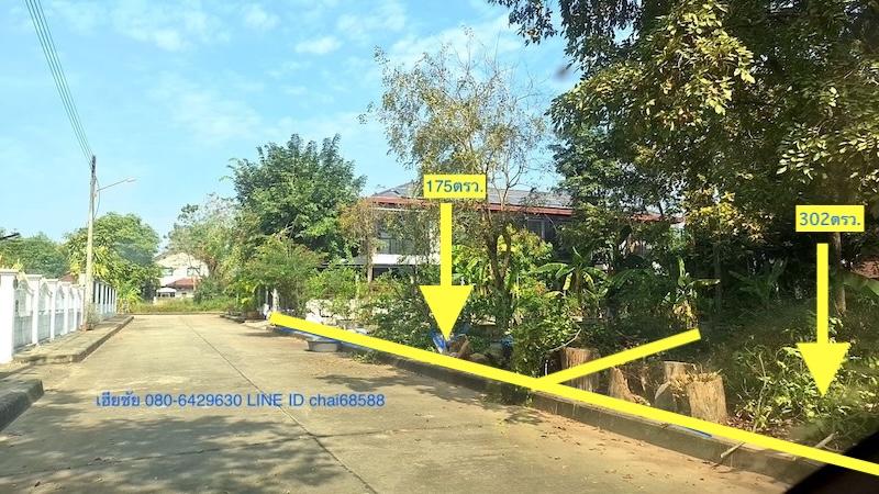 ขายที่ดินในหมู่บ้านกฤษฏาการ์เด้นส์ 302ตรว.175ตรว.150ตรว. 3แปลง ติดถนน 304 ใกล้.มทส.ประตู1 ตำบลปรุใหญ่ อ.เมืองนครราชสีมา ในหมู่บ้านกฤษฏาการ์เด้นส์ 1