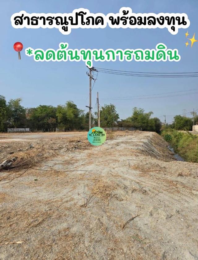 ขายที่ดิน 19 ไร่ ต.หนองหงษ์-พานทอง-ชลบุรี 3