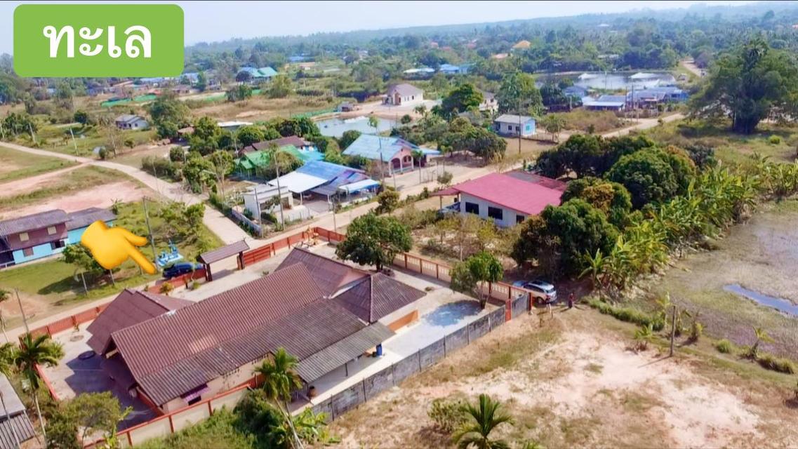 บ้านใกล้ทะเล เนื้อที่ 2 ไร่ 43 ตรว พื้นที่เยอะมาก ราคาเพียง 4,500,000 บาท ต.เนินฆ้อ อ.แกลง จ.ระยอง 2