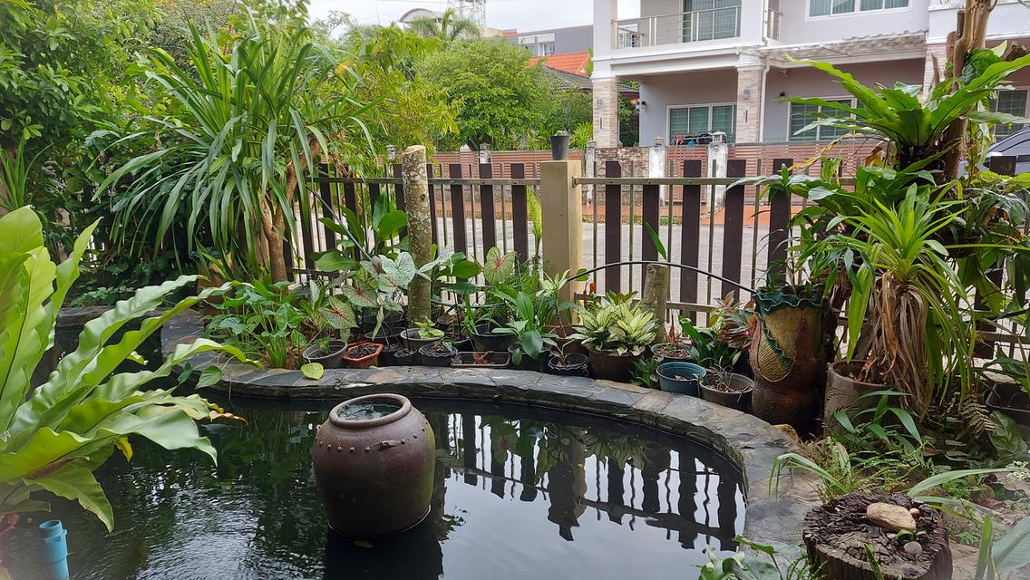 บ้านเดี่ยว 2 ชั้น 5 ห้องนอน 4 ห้องน้ำ ห้องครัว ห้องรับแขก  ระเบียงดาดฟ้า บ่อปลาคราฟ ปั้มน้ำ ถ้งเก็บน้ำ ซักล้าง สวน แอร์ 5 ตัว มุ้งลวดพร้อมม่าน 5