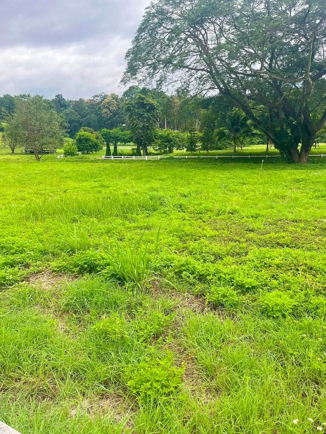 📣🏡 ที่ดินวิวดอย #บ้านปง อ.หางดง เชียงใหม่ 17