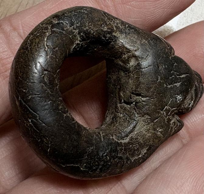 เครื่องรางของขลัง แหวนพระปิดตา เนื้อผงคลุกรักเก่า ไม่ทราบที่ 8