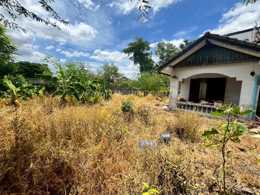 บ้านกฤษดานนคร 19 ถนนพหลโยธิน ต.คลองหนึ่ง อ.คลองหลวง จ.ปทุมธานี 10